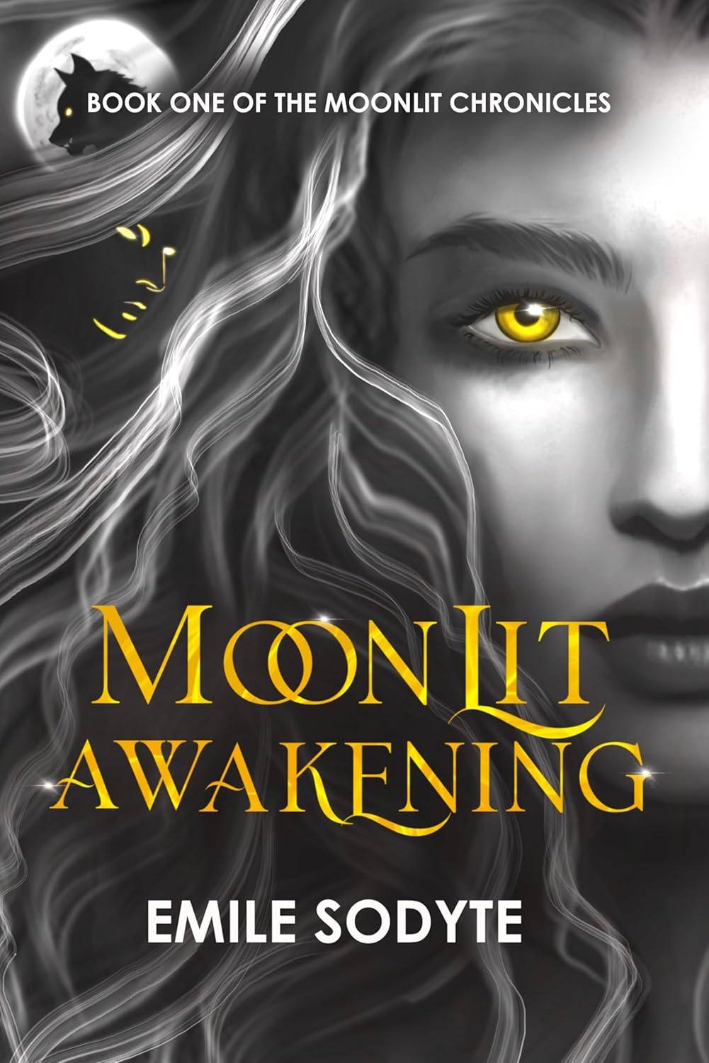 Moonlit Awakening, Emile Sodyte signed edition