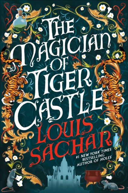 The Magician of Tiger Castle : the highly anticipated debut adult novel from the international bestselling author