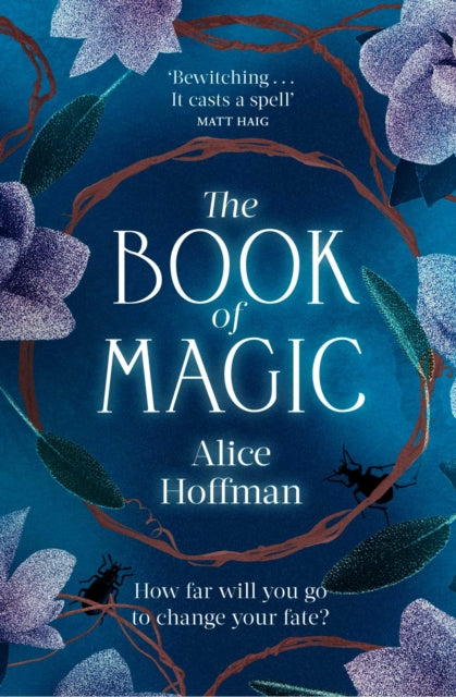 The Book of Magic : Volume 4